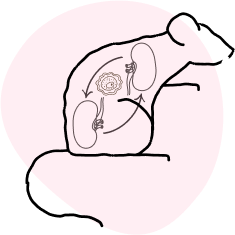 icon-research-2