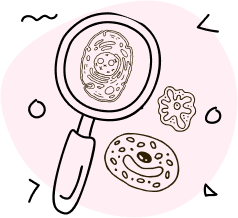 icon-research-4