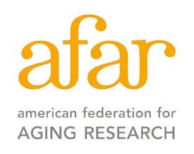 American Federation for Aging Research